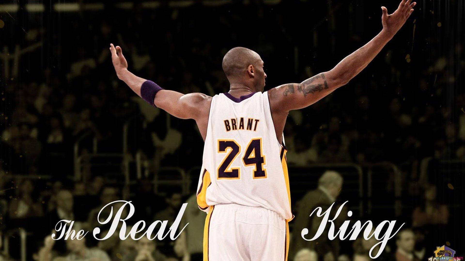 欧文末节封神！独行侠加时逆转森林狼，东欧组合撕裂西部第一